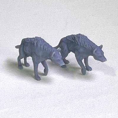 Hyenas (2)